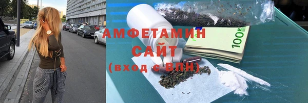 крисы Бородино