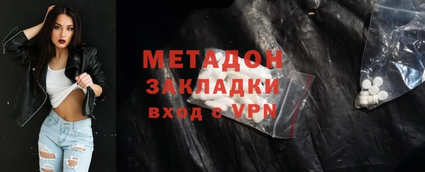 крисы Бородино