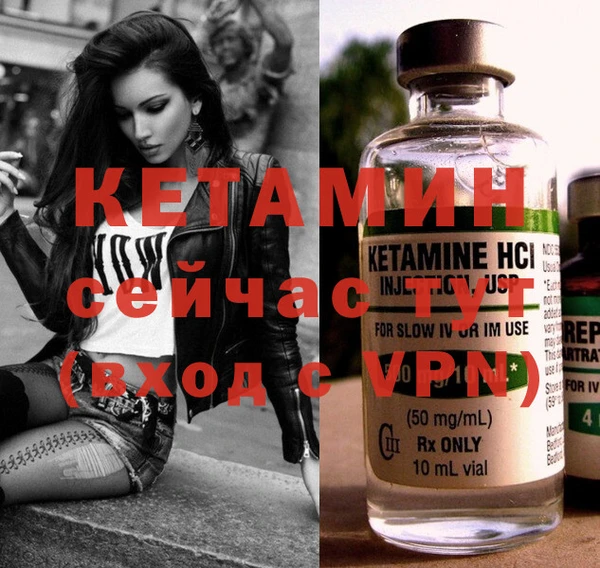крисы Бородино