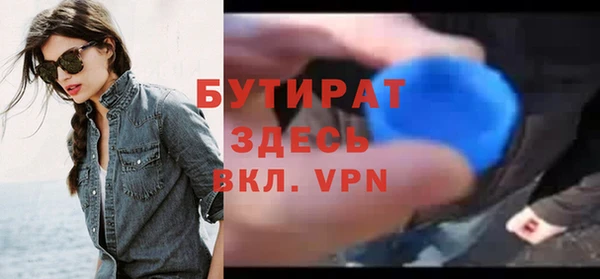 крисы Бородино
