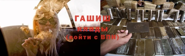 крисы Бородино