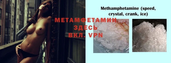 крисы Бородино