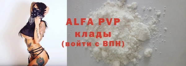крисы Бородино