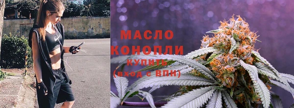 крисы Бородино