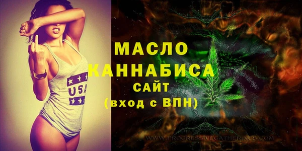 крисы Бородино