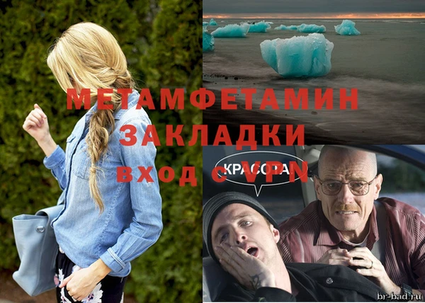 крисы Бородино