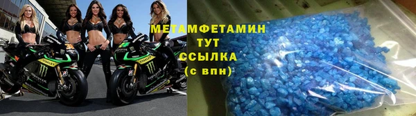 крисы Бородино