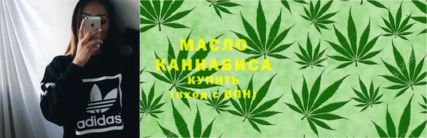крисы Бородино